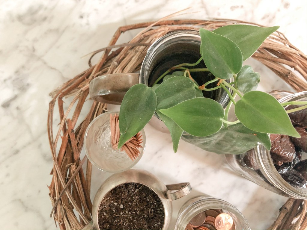 Stay Holy, Stay Home: Palm&nbsp;Sunday