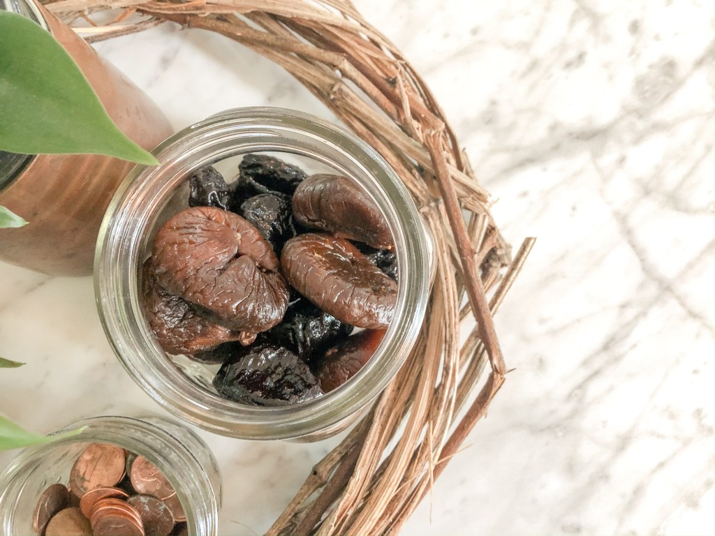 Stay Holy, Stay Home: The Fig&nbsp;Tree