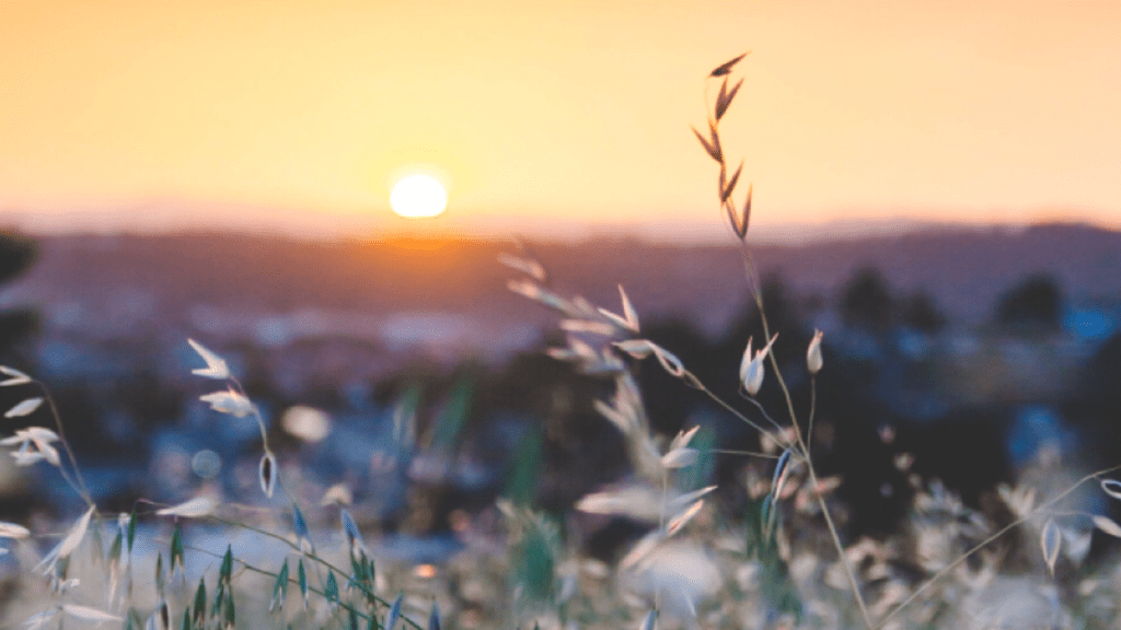 Stay Holy, Stay Home: He is&nbsp;Risen!!