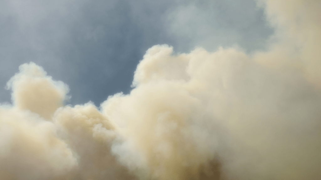 By Faith, We Will&nbsp;Endure