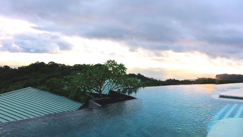 What I Leaned This&nbsp;Summer